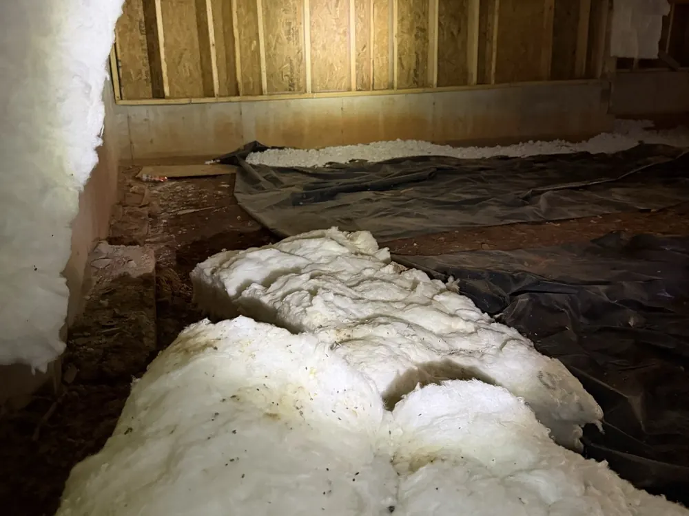 Fallen fiberglass batts piled on the crawl space floor under the joists