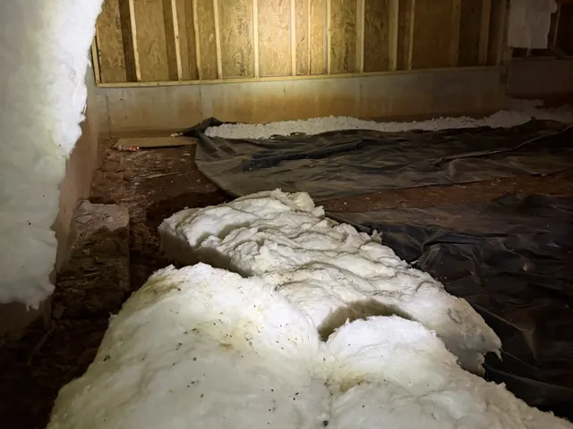 Fallen fiberglass batts piled on the crawl space floor under the joists