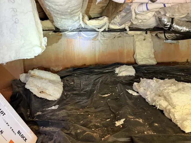 Joists, ductwork and sagging insulation over old black plastic in a crawl space we inspected