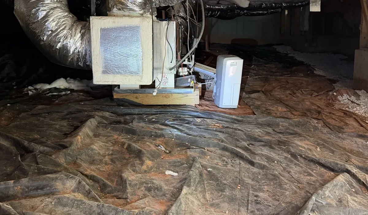Before: a real crawl space we inspected, torn black plastic over the dirt and a white box on the plastic beside the air handler